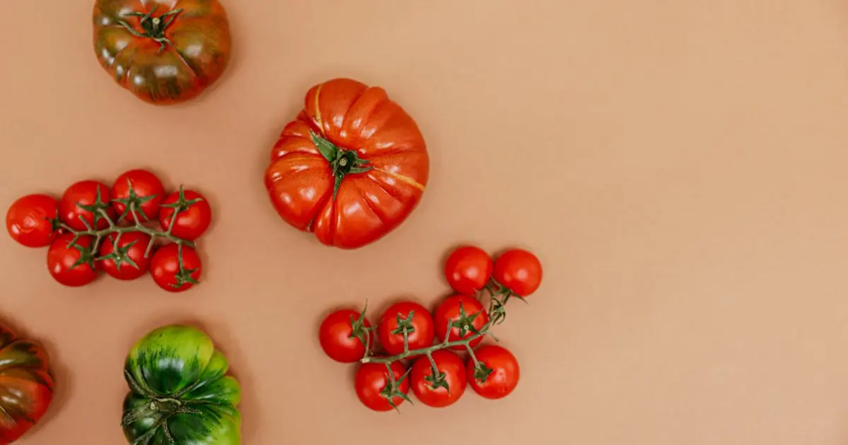 Guia prático para cultivar tomates orgânicos em espaços pequenos