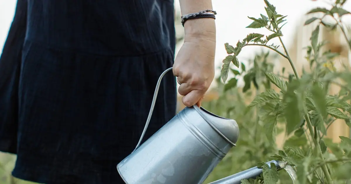 Transforme Embalagens Plásticas em Vasos Criativos