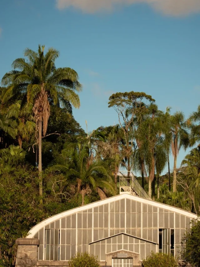 Descubra a Jardinagem em São João da Boa Vista