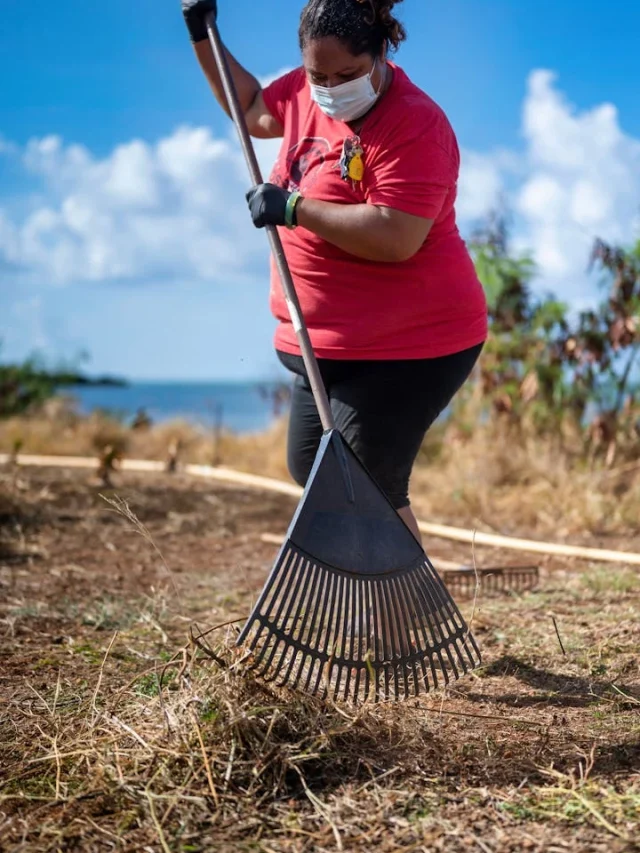 Jardinagem e Insalubridade: Direitos do Profissional Verde